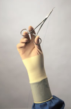 Protexis™ PI Surgical Gloves Latex Free Powder Free, 6.0 - Box/50